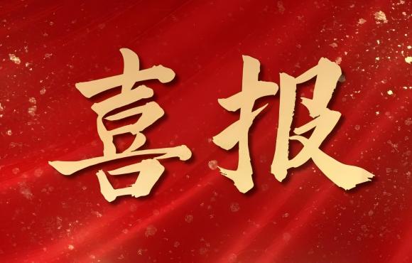 TOP 12！永乐高60net荣登中国品牌价值 “其他服务类”
