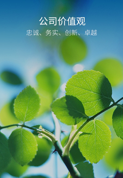 永乐高60net(中国集团)官方网站 - Best Of Best